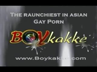 Homosexual asiatic poponar suge două cocoșilor
